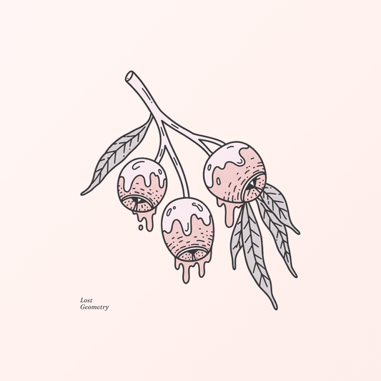 The Power of Starting Where You Are